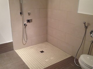 Bathroom Renovation with Open Shower