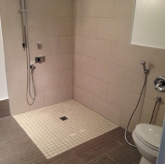 Handicapped Bathroom Renovation Handicapped Bathroom Renovation